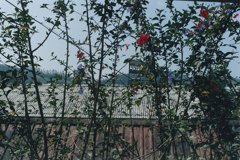 INDE - Photography by EDWARD LANE